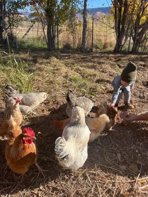 הוילה Toquerville Copper Creek Farm מראה חיצוני תמונה