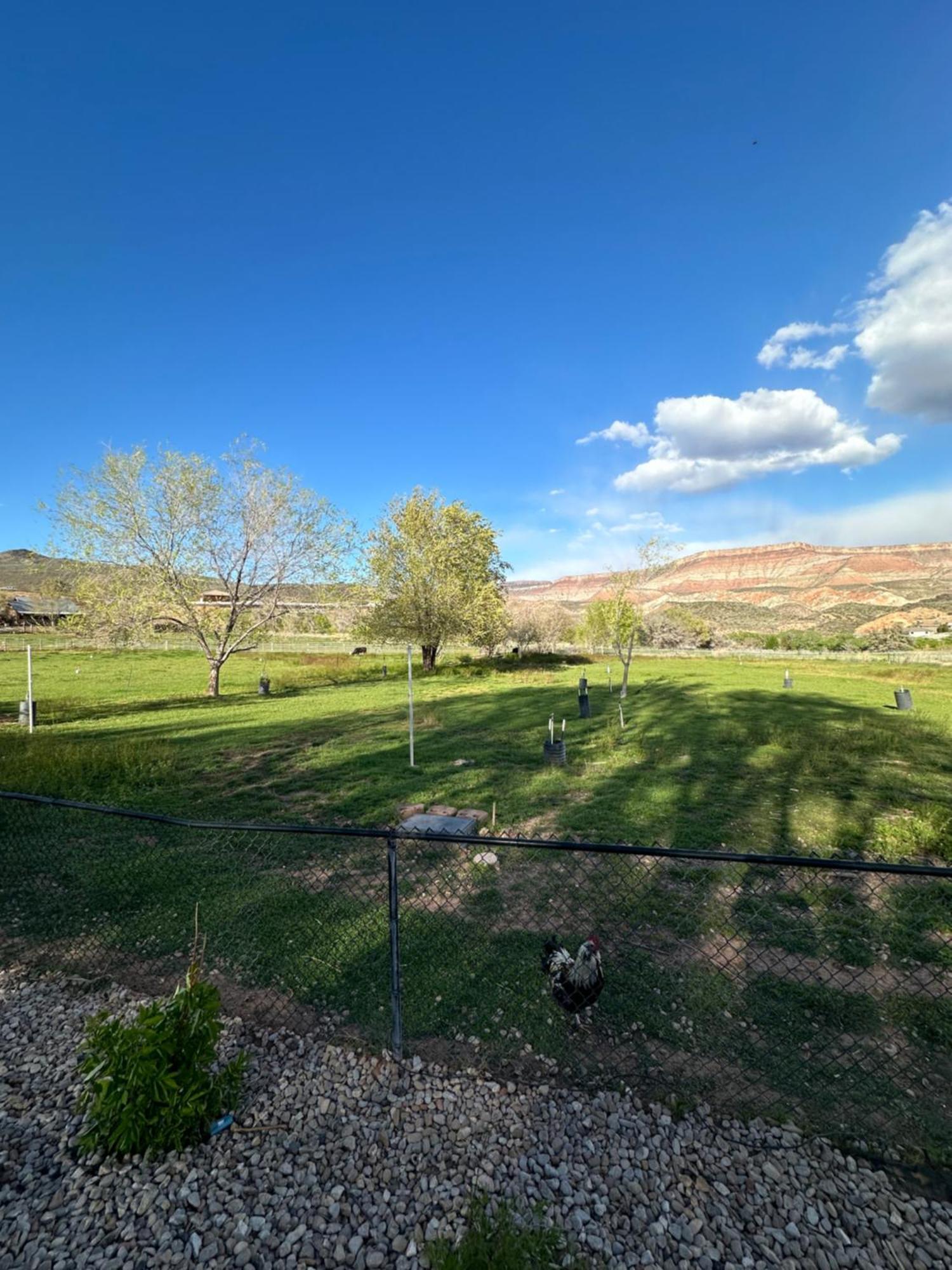 הוילה Toquerville Copper Creek Farm מראה חיצוני תמונה